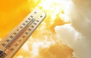 Meteorolojiden endişelendiren rapor: Şubatta sıcaklık...
