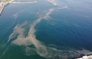 Marmara Denizi'nde 'İklim değişikliği...