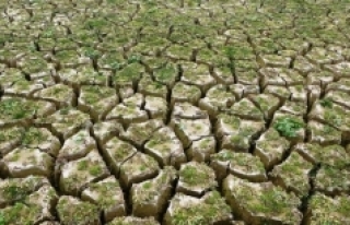 Tarımda kuraklık riski : 2 milyon tonluk kayıp...