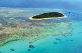 UNESCO'ya göre Büyük Bariyer Resifi'nin...