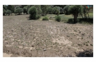 Yozgat’ta etkili olan sel ekili alanlara zarar verdi