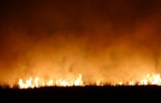 Yüksekova'da 2 gün sonra yine yangın!