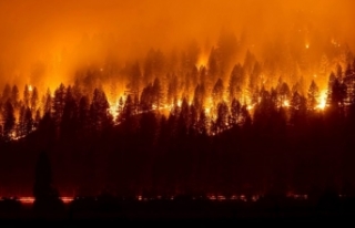Orman yangınları bu yıl rekor karbon emisyonu yaydı