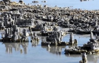 Van Gölü’nde suların çekilmesiyle mikrobiyalitler...