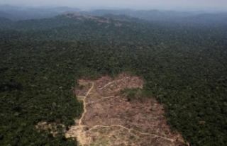 Amazon’daki Ormansızlaşması Mart’ta Azalmasına...