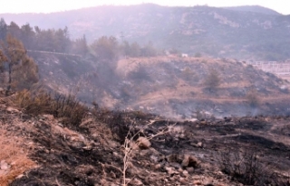 Menderes'teki orman yangını davası sanığına...