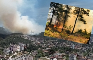 Hatay'da orman yangını kontrol altına alındı:...