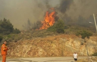 Atina'da yangın: Bazı bölgeler tahliye edildi