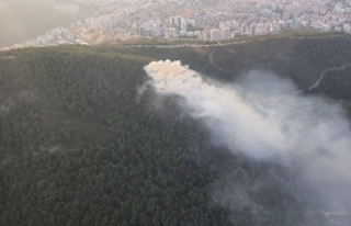 Balçova'da çıkan orman yangını kontrol altına...