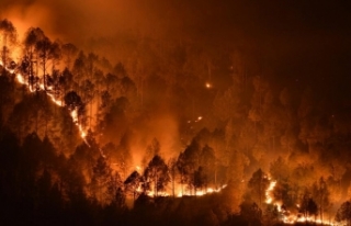 İspanya ve Almanya Orman Yangınları ile Mücadele...
