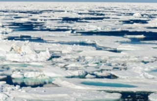 Kuzey Kutbu, ortalamadan 7 kat fazla ısındı