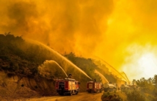 “Orman Yangını Riski Küresel Isınmayla Artıyor”