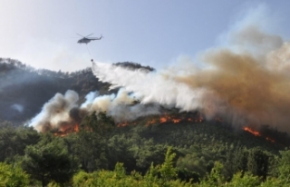 Orman Yangınları için Kırmızı Alarm
