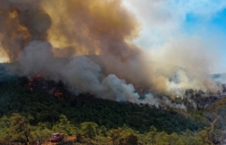 AFAD'dan orman yangını uyarısı: Şiddetli...