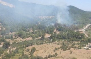 Seferihisar'daki orman yangınları kontrol altında