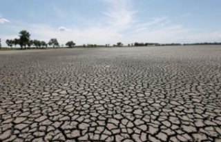 Avrupa'daki kuraklık, 500 yılın en kötüsü...