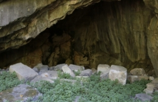 Kaçak kazıda antik taş ocağı: Çivi bile çakılmayacak