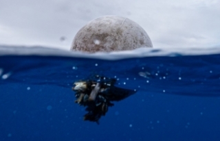Okyanuslarda alarm veren kirlilik: 171 trilyon plastik...