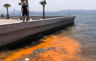 İzmir Körfezi'ndeki renk değişimi müsilajın...