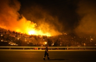 Türkiye, orman yangınlarına hazır mı?