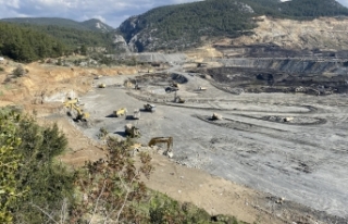 “Ormanların Üzerindeki Baskıyı Acilen Azaltmalıyız”