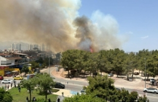 Antalya'da iki ayrı noktada orman yangını