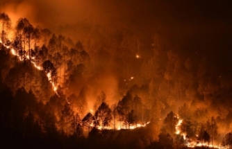 İspanya ve Almanya Orman Yangınları ile Mücadele Ediyor