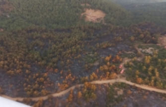 Soma’daki yangında 50 hektarlık alan zarar gördü