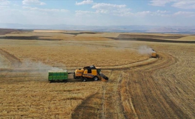 Ziraat mühendislerin talebi: Çiftçilerin ezbere ekim sistemlerinin artık değişmesi gerekiyor