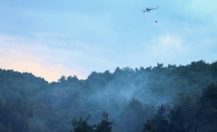 Sıcaklık ve rüzgâr artacak: Çanakkale Valiliği'ndan orman yangınları uyarısı!